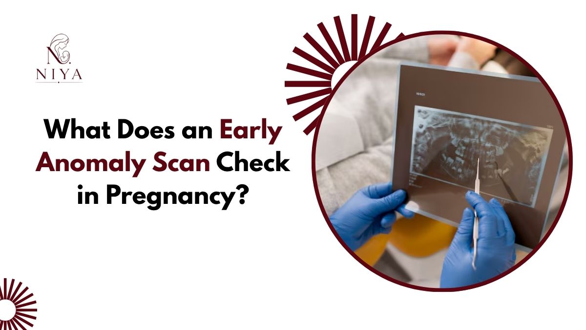What Does an Early Anomaly Scan Check in Pregnancy?